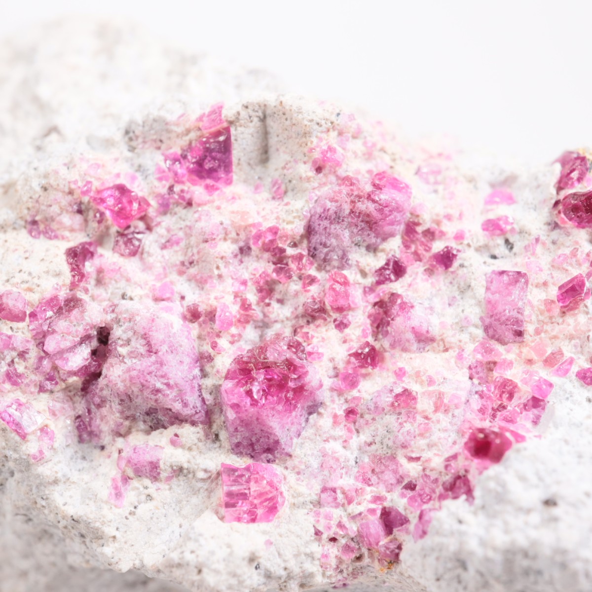 Ruby Violet claims�� ��åɥ٥��