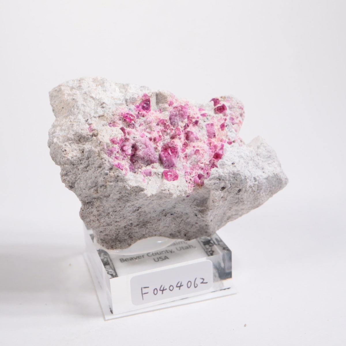 Ruby Violet claims�� ��åɥ٥��