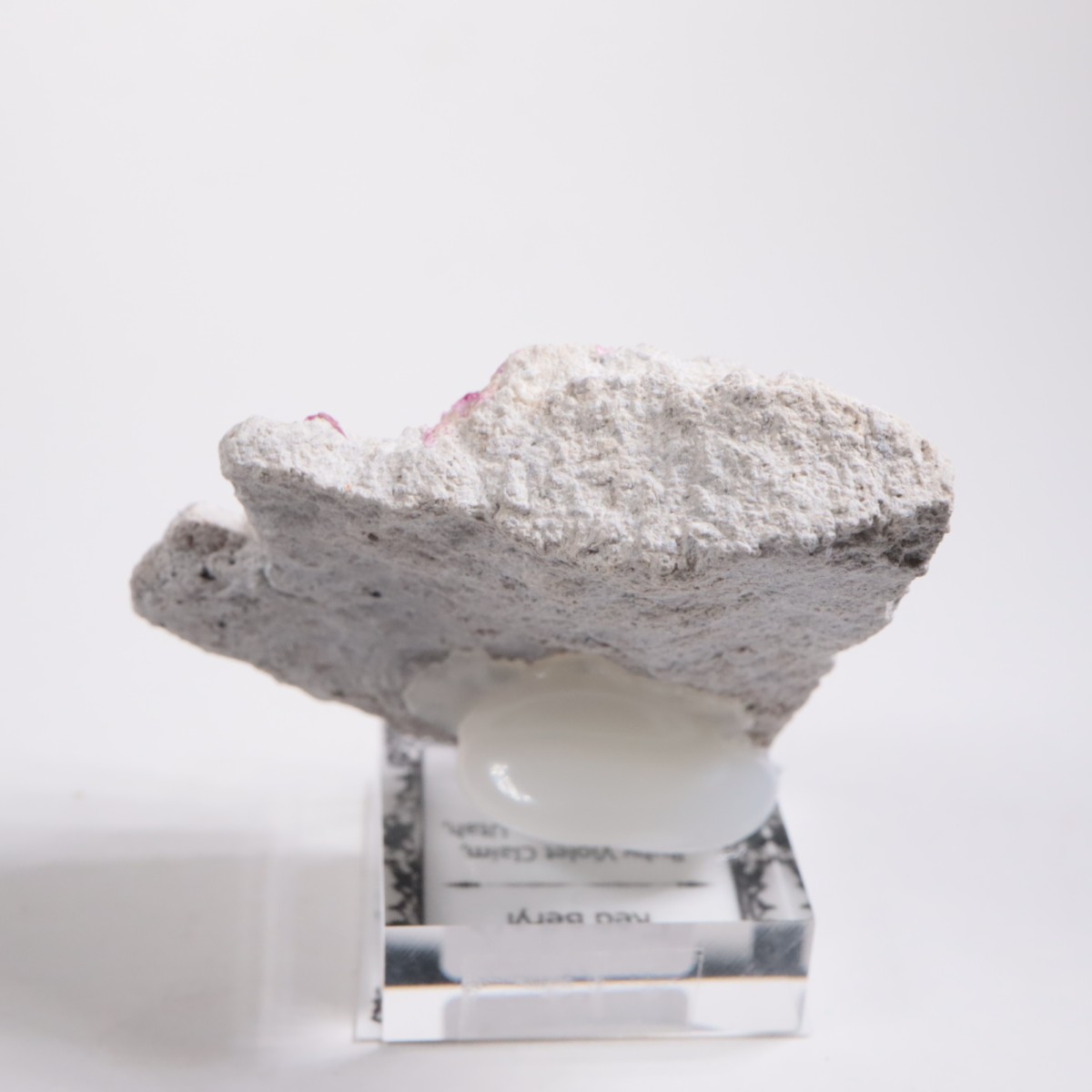 Ruby Violet claims�� ��åɥ٥��