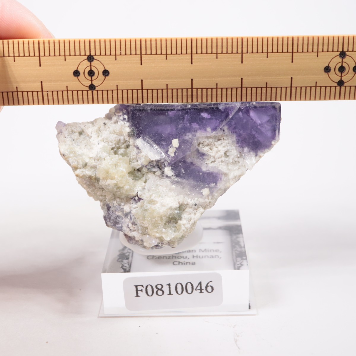 �䥪���󥷥��ۻ� �ե����饤��