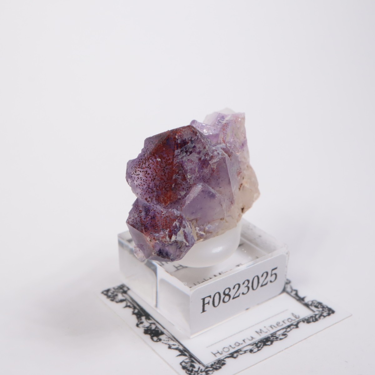 Moon Light�ۻ� ���᥷����with�إޥ�����