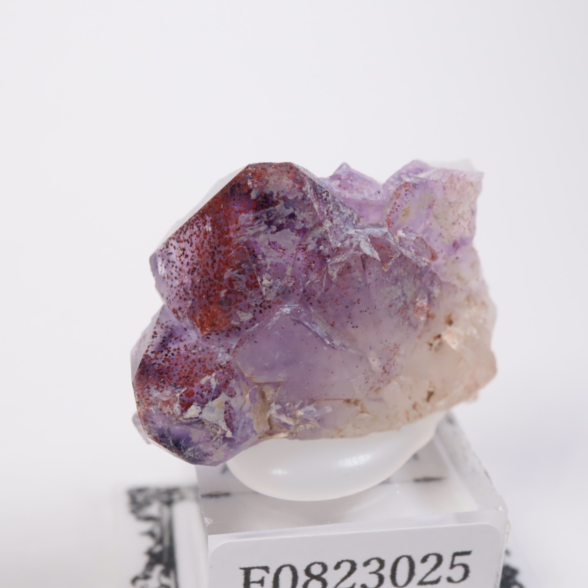 Moon Light�ۻ� ���᥷����with�إޥ�����