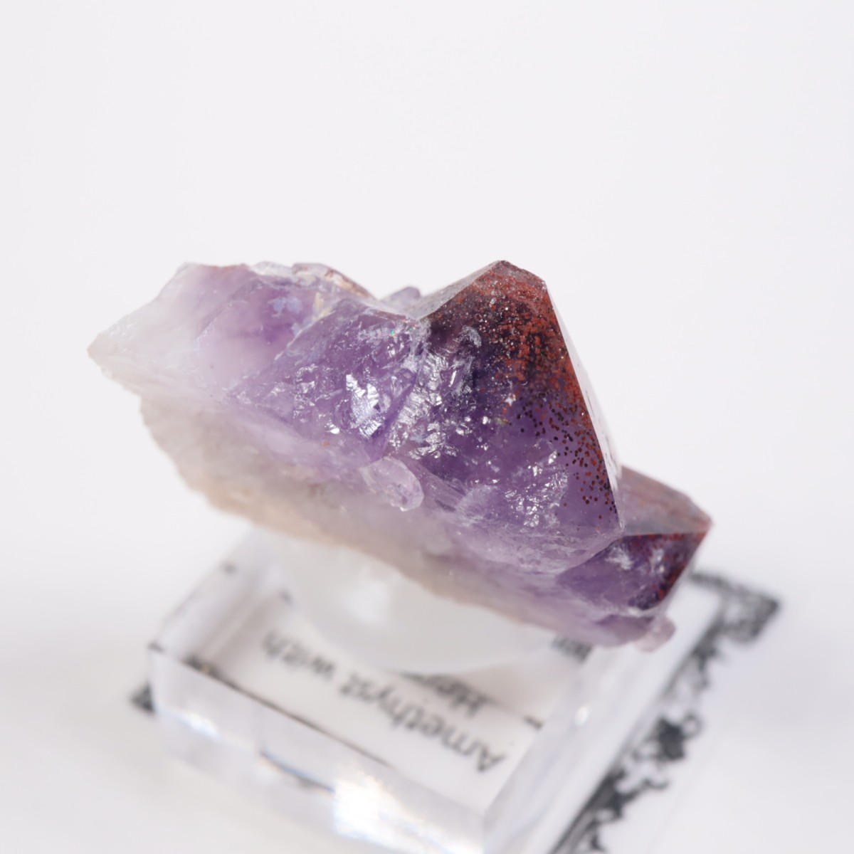 Moon Light�ۻ� ���᥷����with�إޥ�����