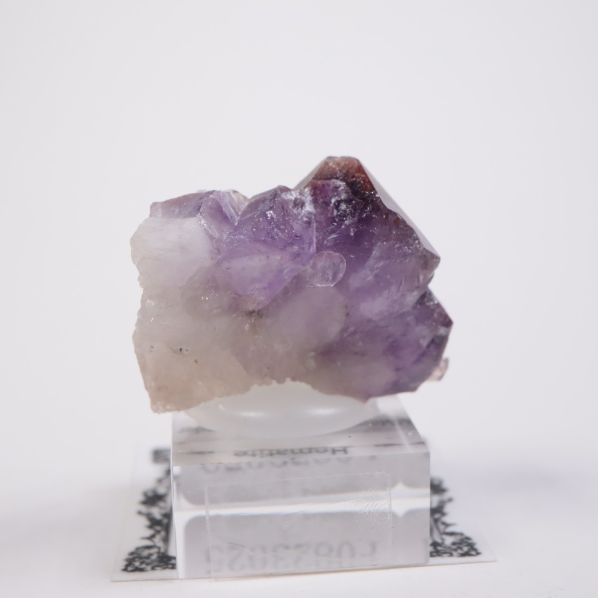 Moon Light�ۻ� ���᥷����with�إޥ�����