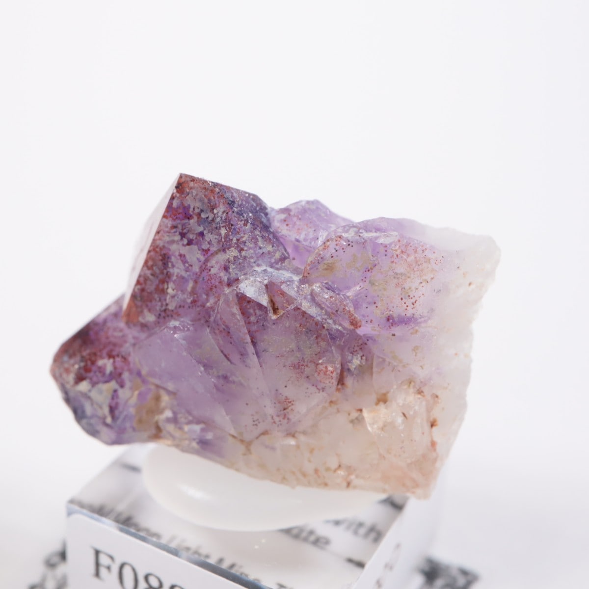 Moon Light�ۻ� ���᥷����with�إޥ�����