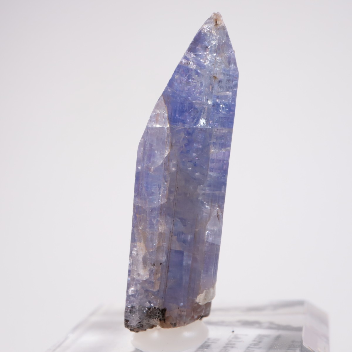 ���󥶥˥��� ���󥶥ʥ���