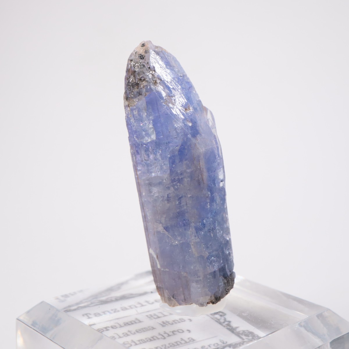 ���󥶥˥��� ���󥶥ʥ���