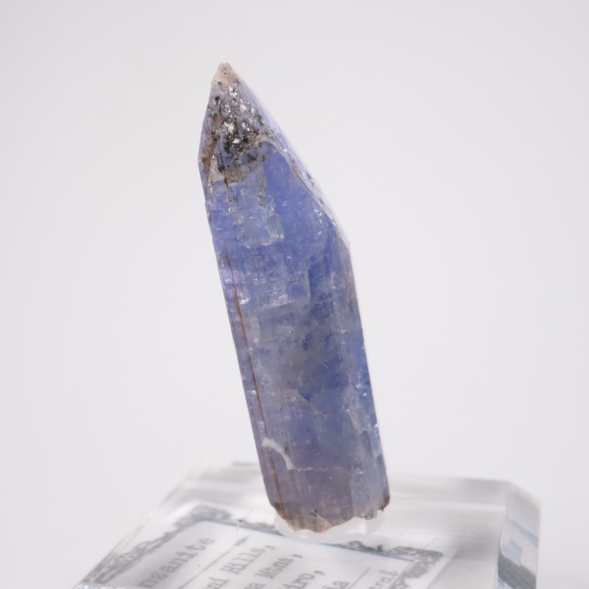 ���󥶥˥��� ���󥶥ʥ���