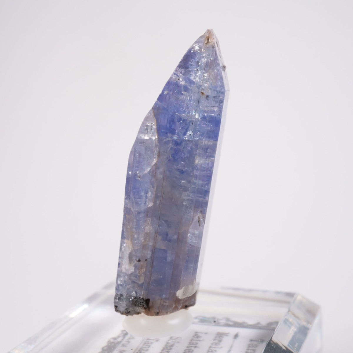 ���󥶥˥��� ���󥶥ʥ���