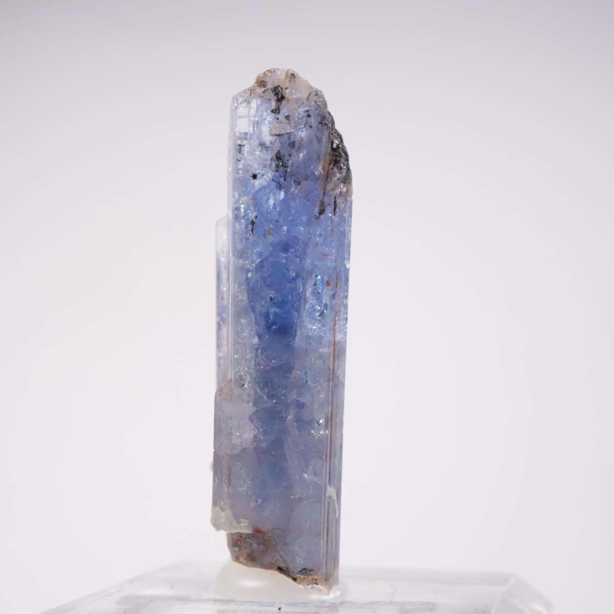 ���󥶥˥��� ���󥶥ʥ���