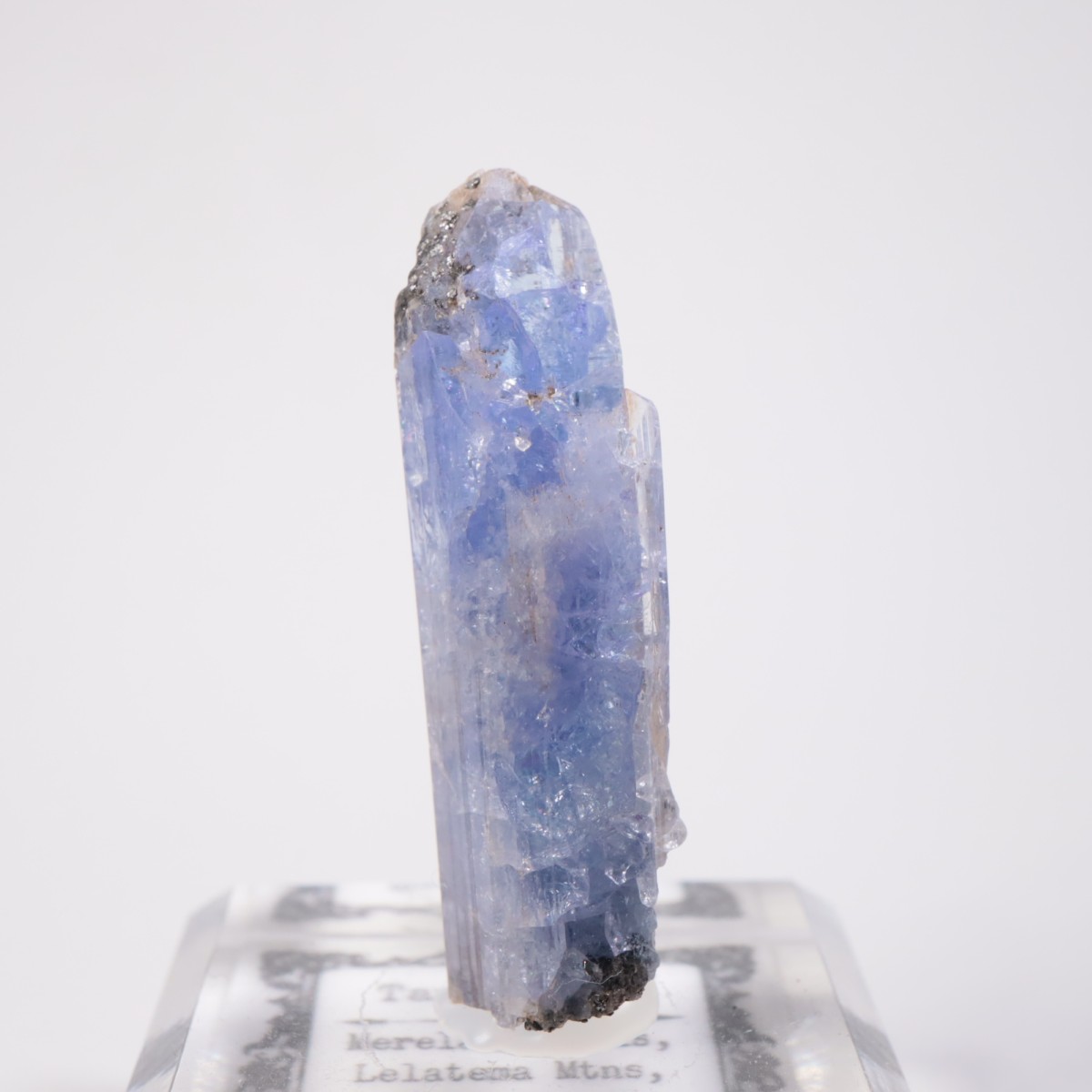 ���󥶥˥��� ���󥶥ʥ���