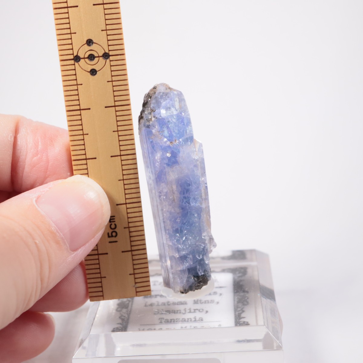 ���󥶥˥��� ���󥶥ʥ���