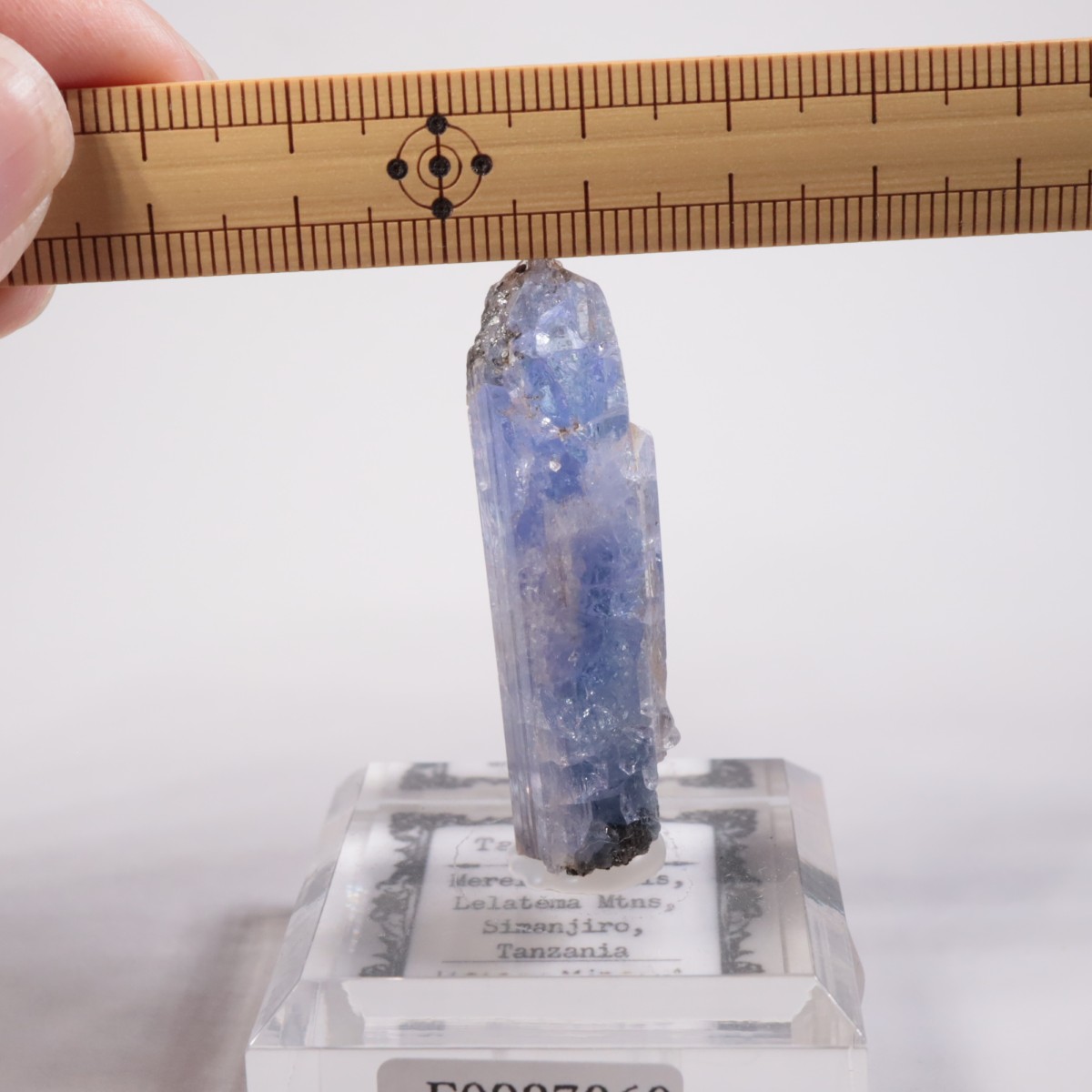 ���󥶥˥��� ���󥶥ʥ���