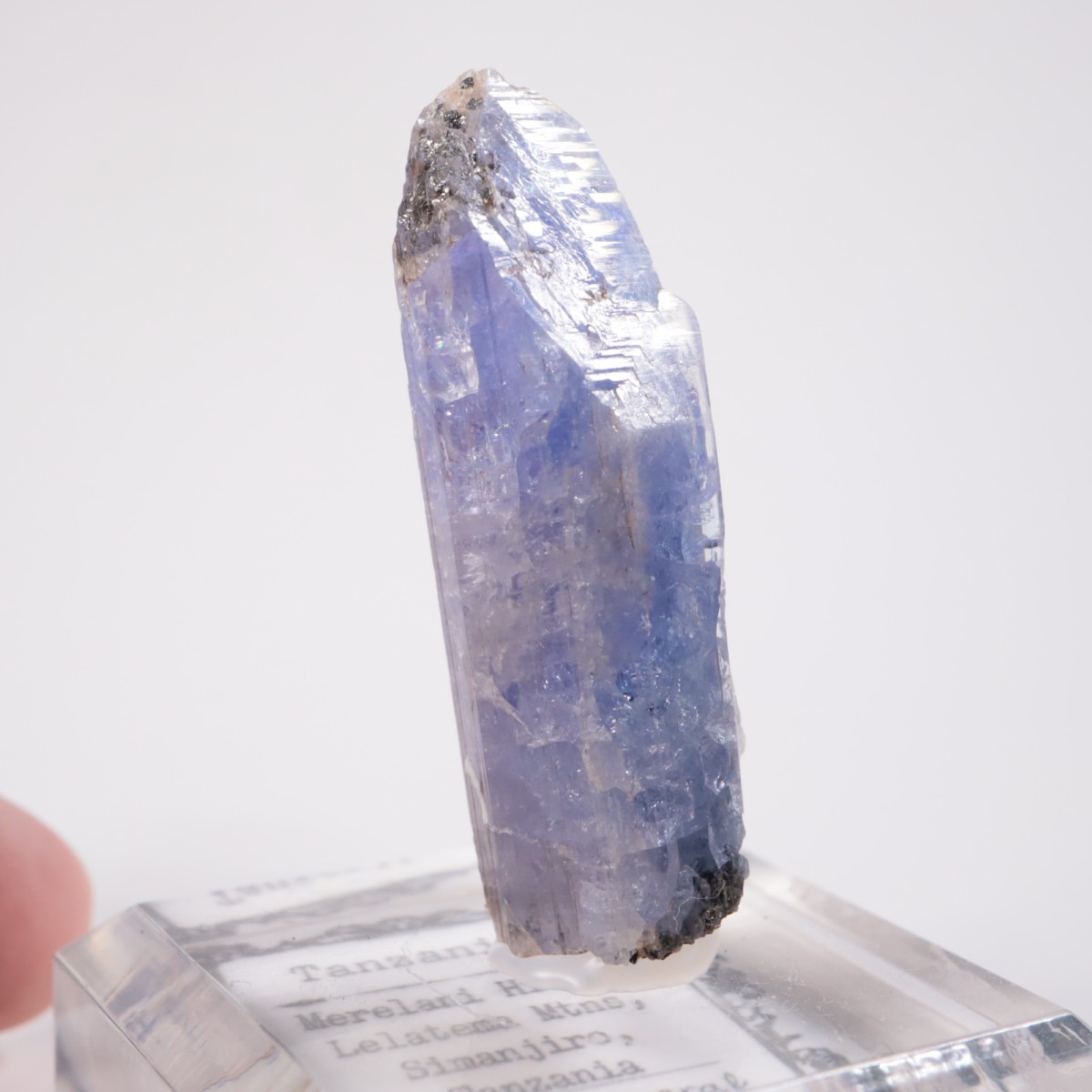 ���󥶥˥��� ���󥶥ʥ���