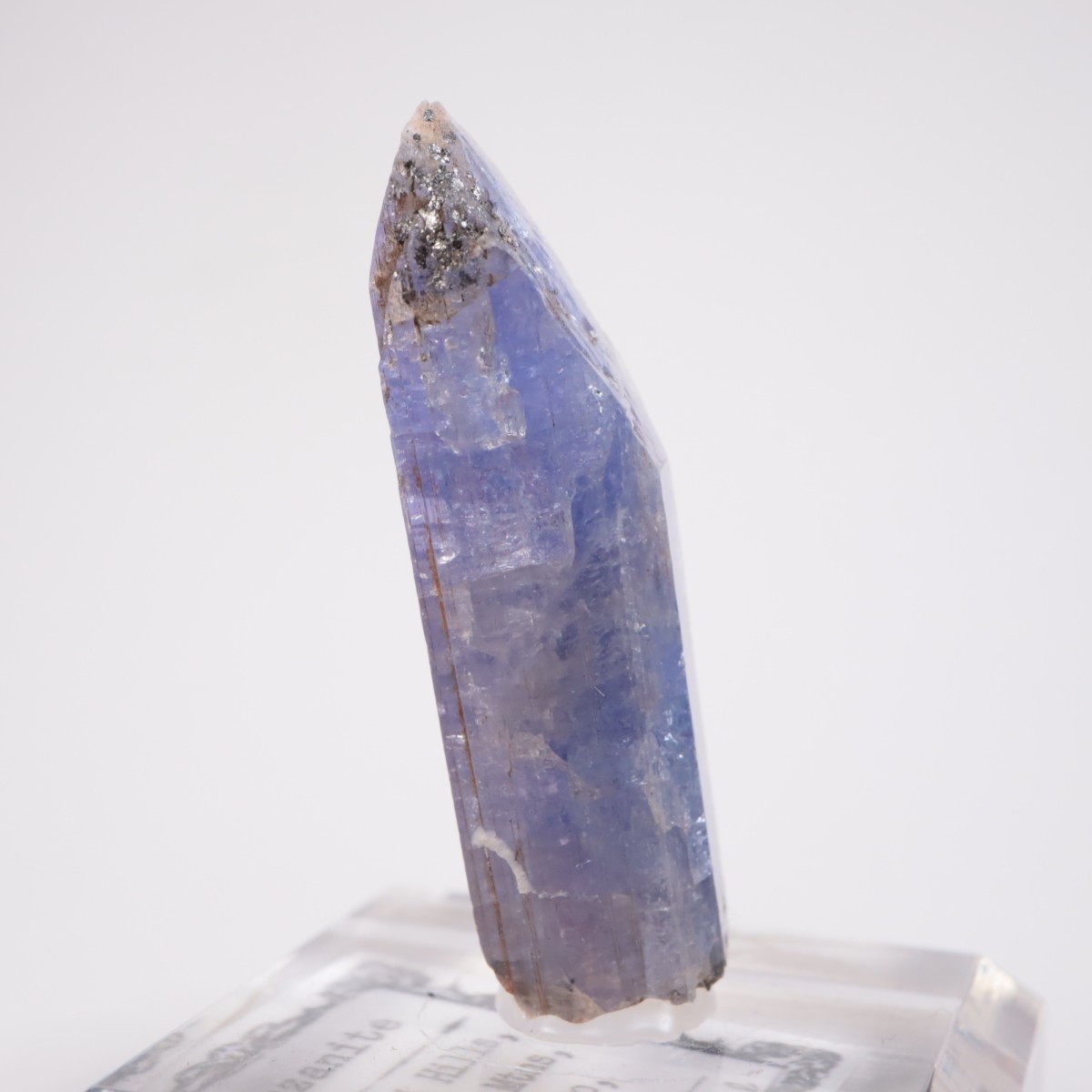 ���󥶥˥��� ���󥶥ʥ���