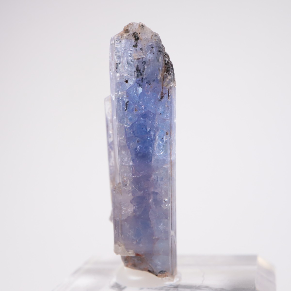 ���󥶥˥��� ���󥶥ʥ���