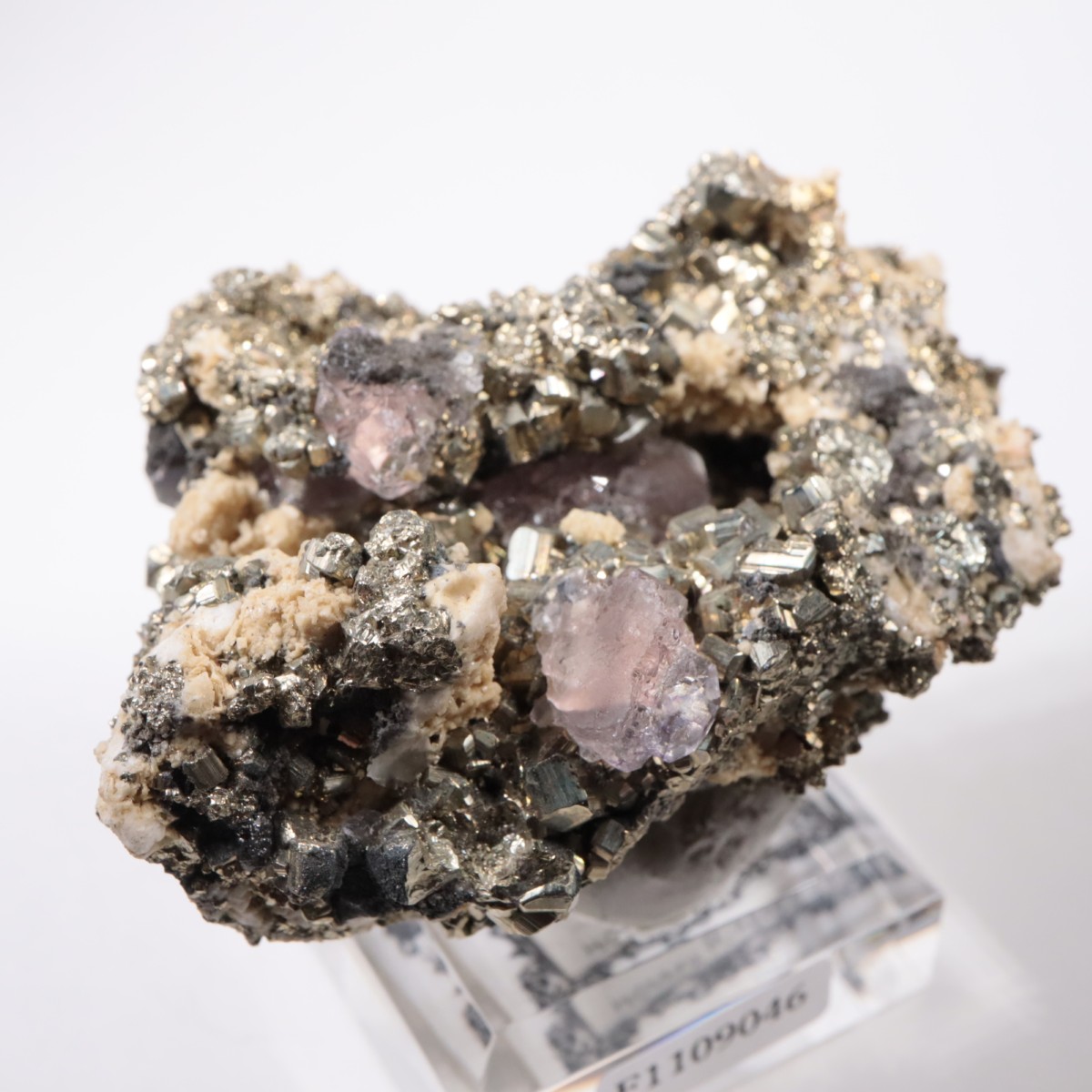 �ڥ롼�� �ե����饤�ȡ��ѥ��饤��