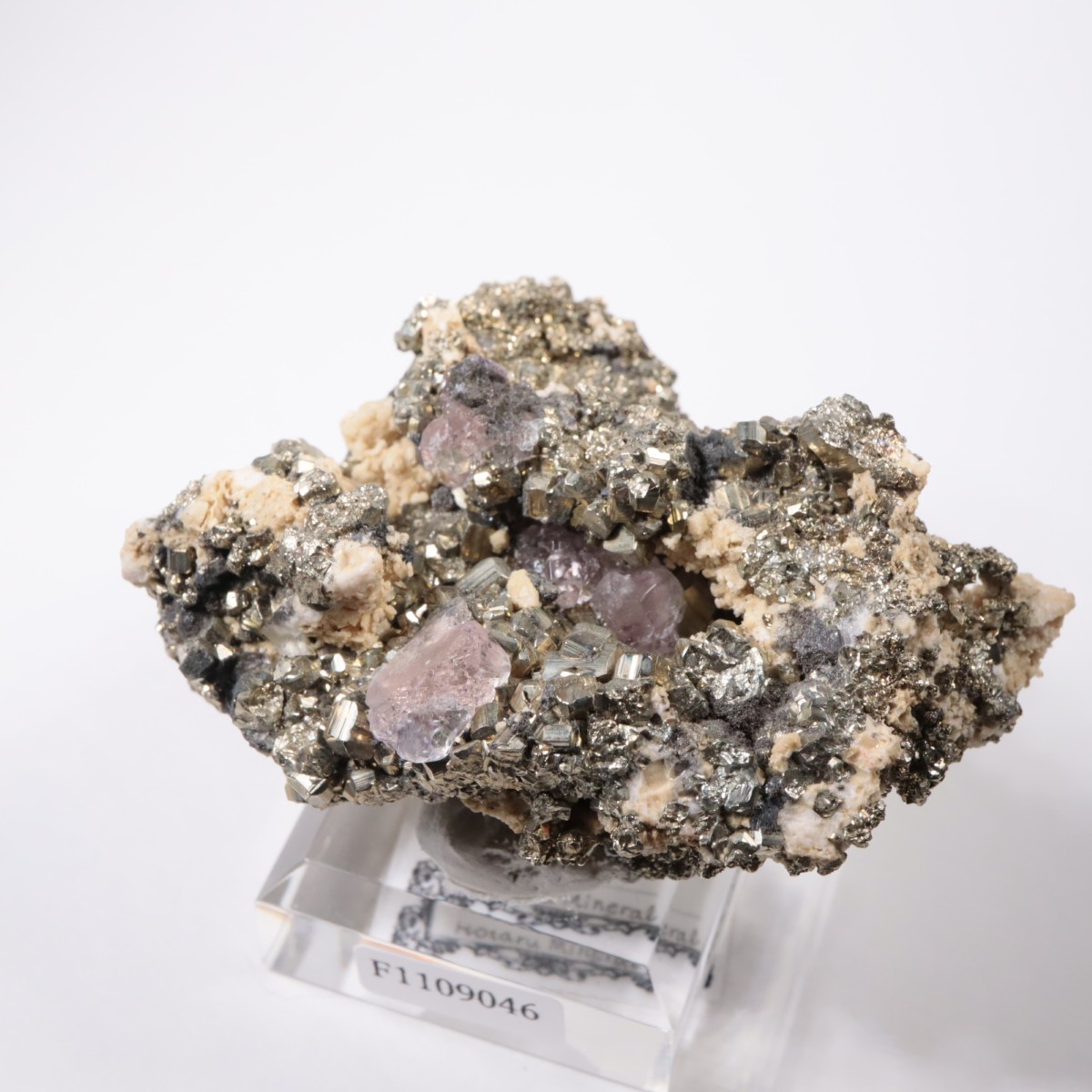 �ڥ롼�� �ե����饤�ȡ��ѥ��饤��