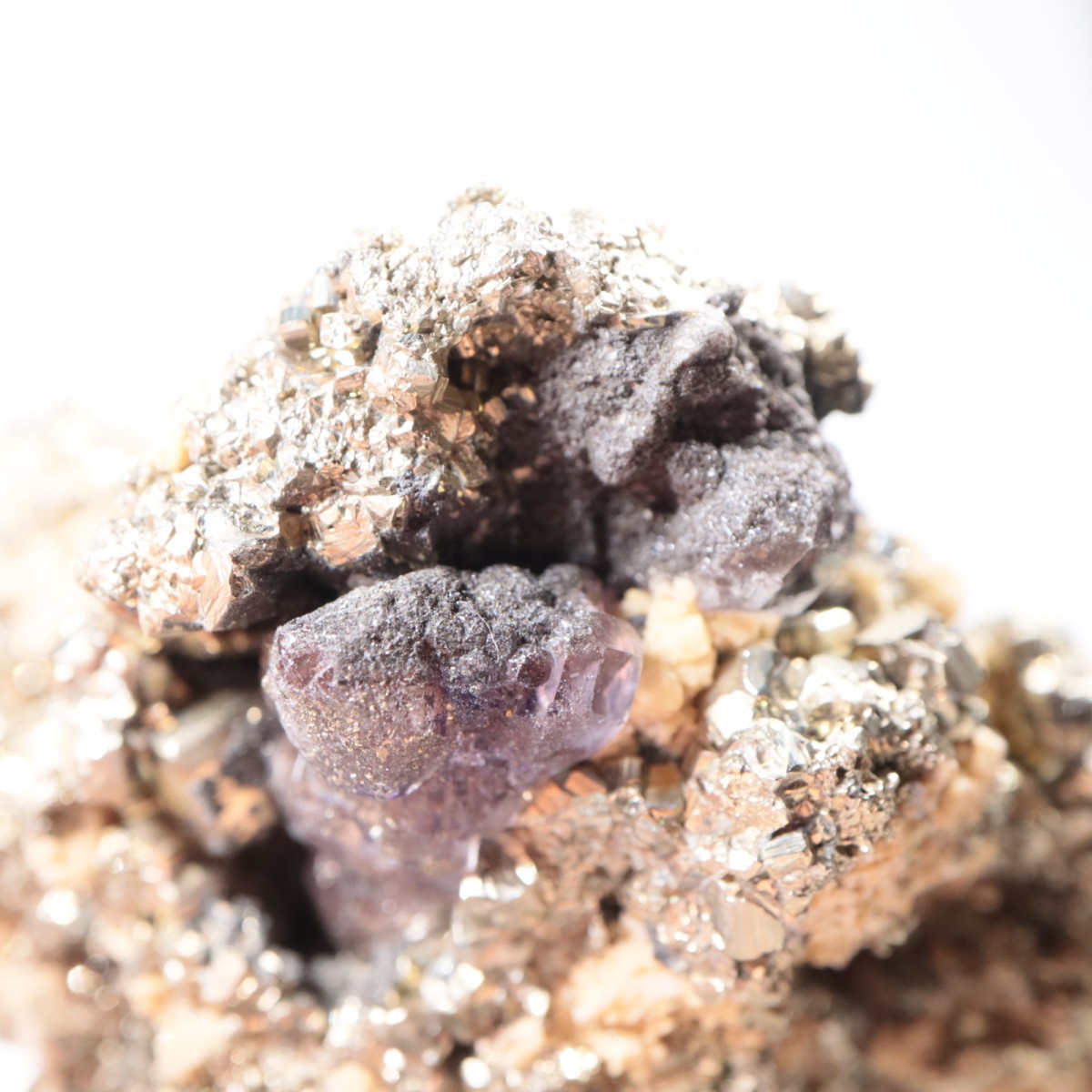 �ڥ롼�� �ե����饤�ȡ��ѥ��饤��