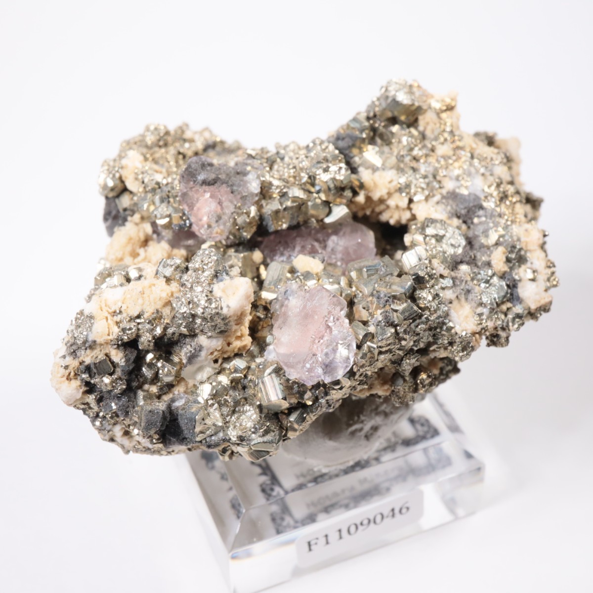 �ڥ롼�� �ե����饤�ȡ��ѥ��饤��