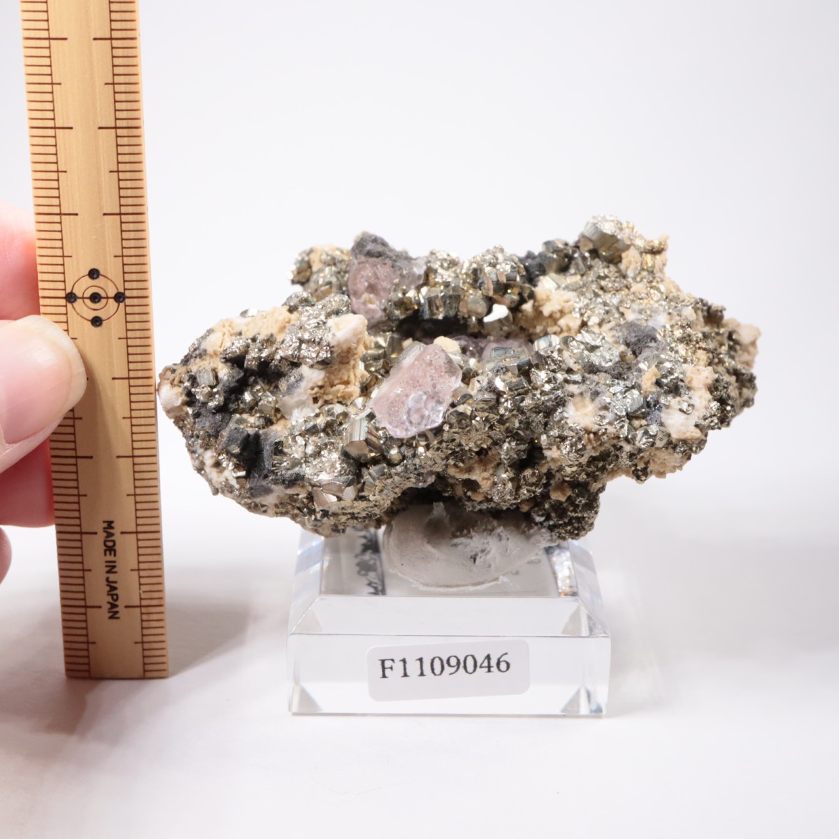 �ڥ롼�� �ե����饤�ȡ��ѥ��饤��