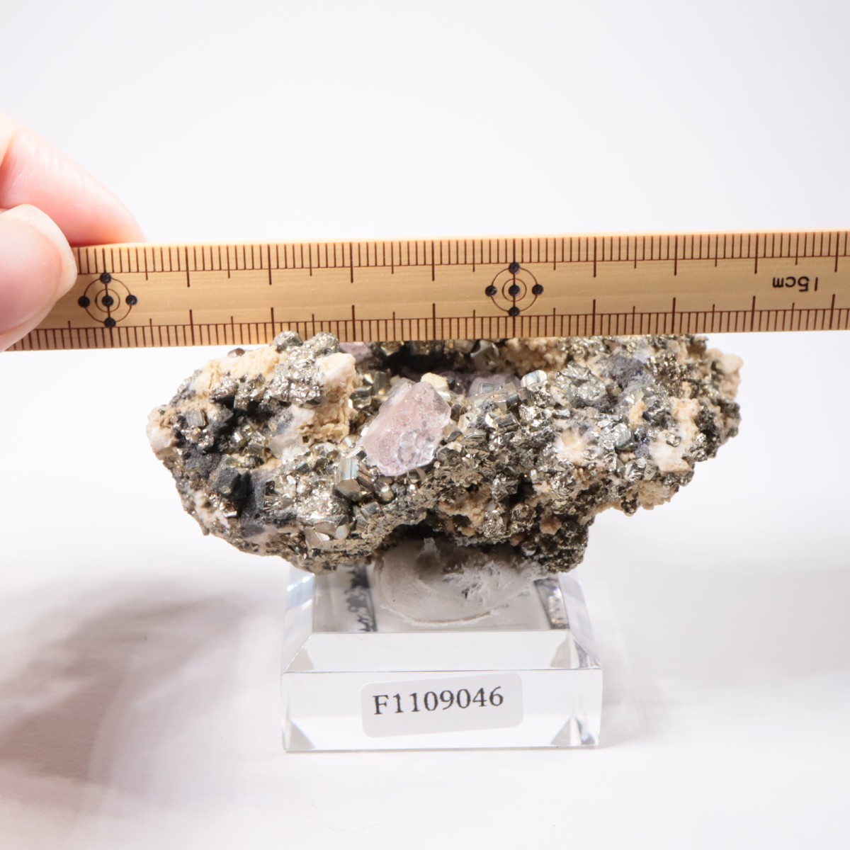 �ڥ롼�� �ե����饤�ȡ��ѥ��饤��