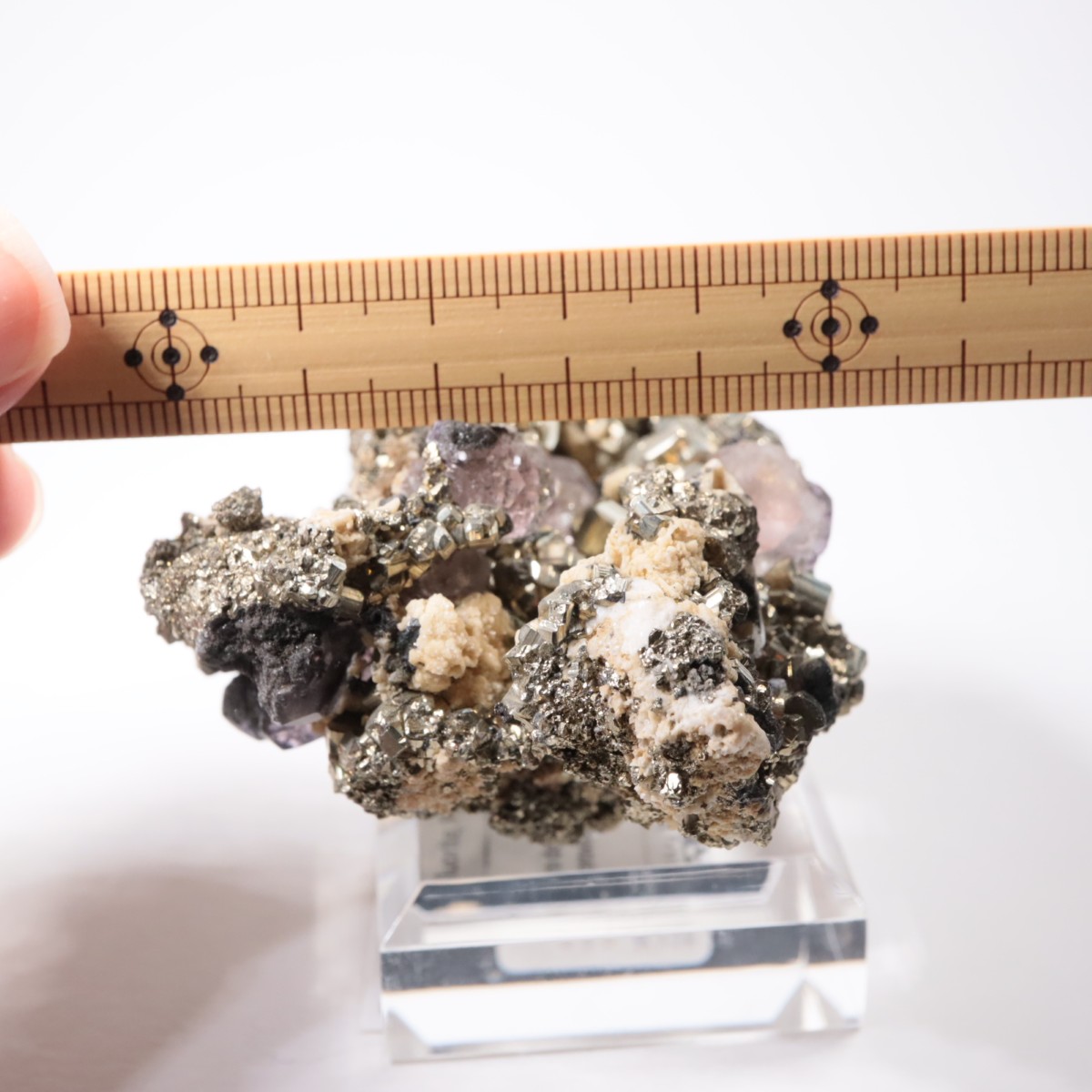 �ڥ롼�� �ե����饤�ȡ��ѥ��饤��