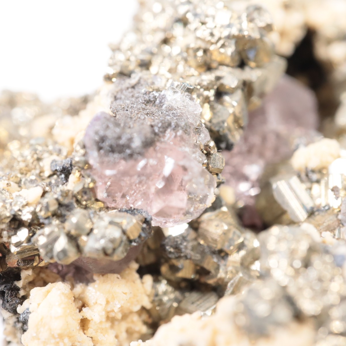 �ڥ롼�� �ե����饤�ȡ��ѥ��饤��