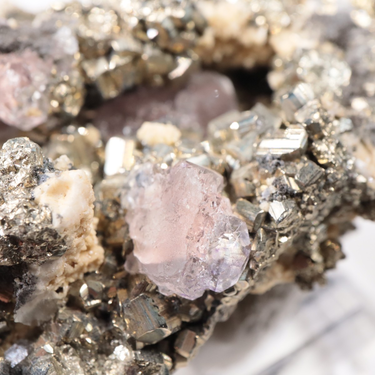 �ڥ롼�� �ե����饤�ȡ��ѥ��饤��