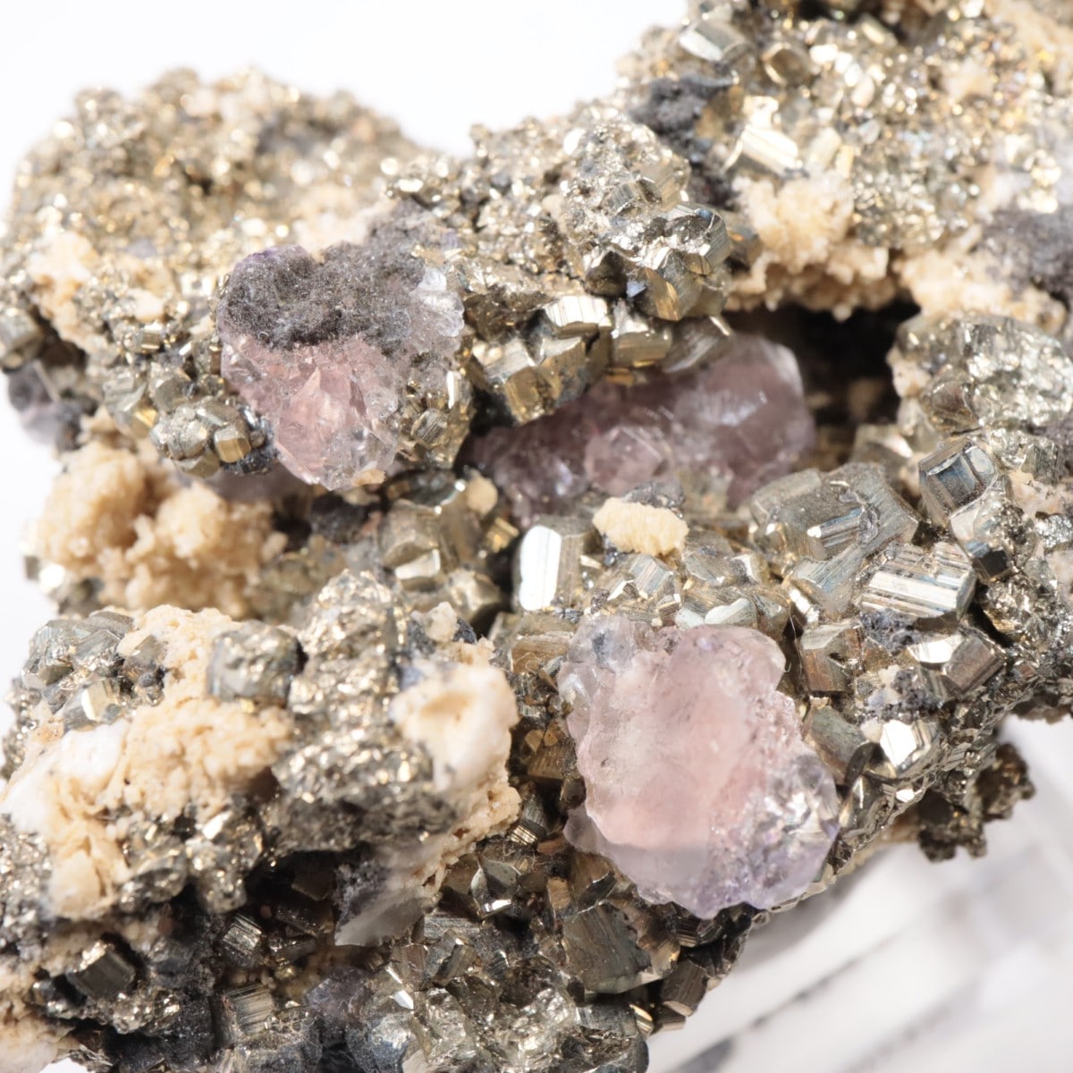 �ڥ롼�� �ե����饤�ȡ��ѥ��饤��