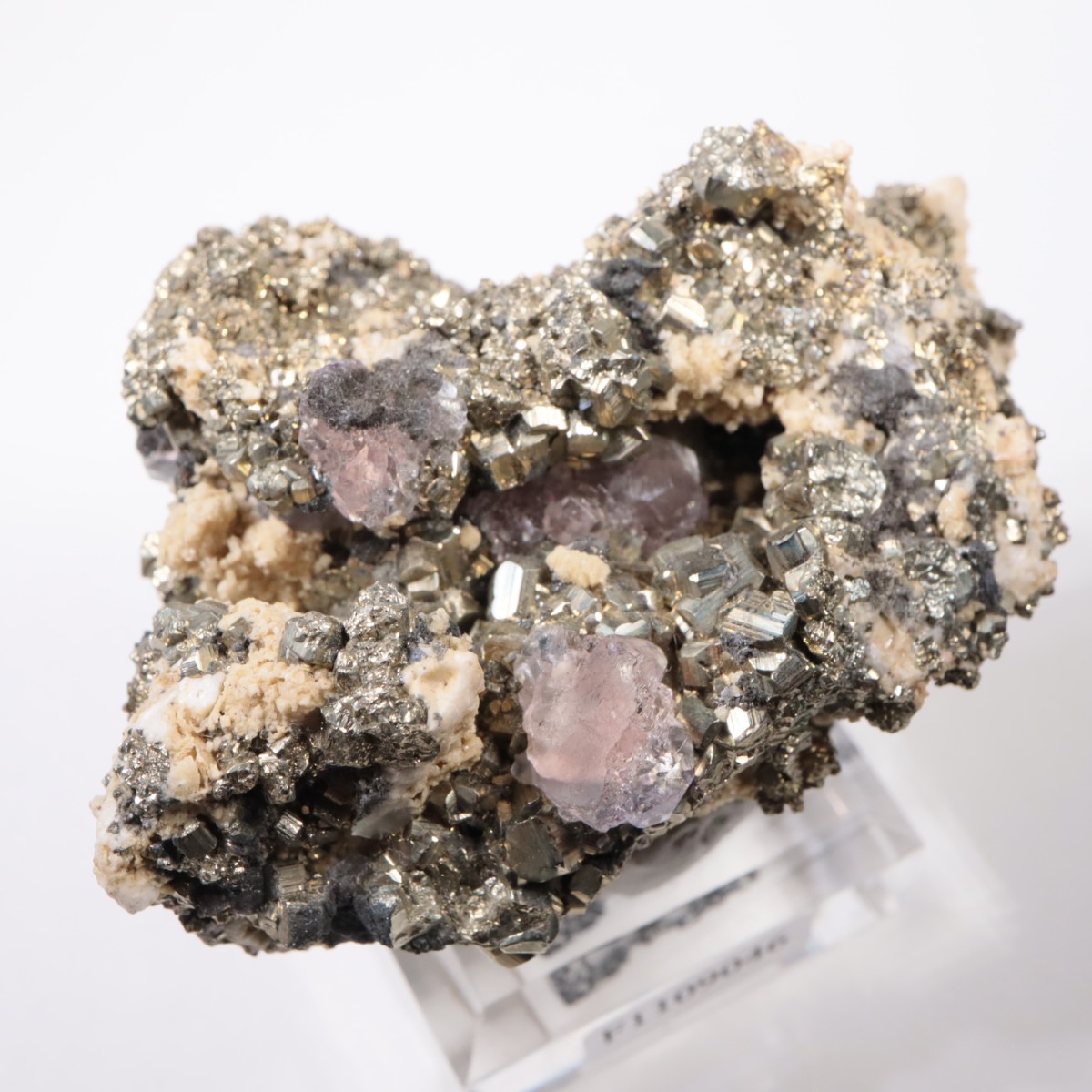 �ڥ롼�� �ե����饤�ȡ��ѥ��饤��