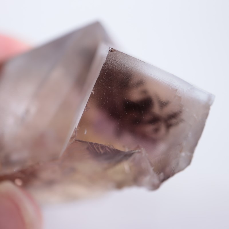 Sherry Twins Pocket産フローライト | 鉱物標本,ハ行,フローライト/蛍