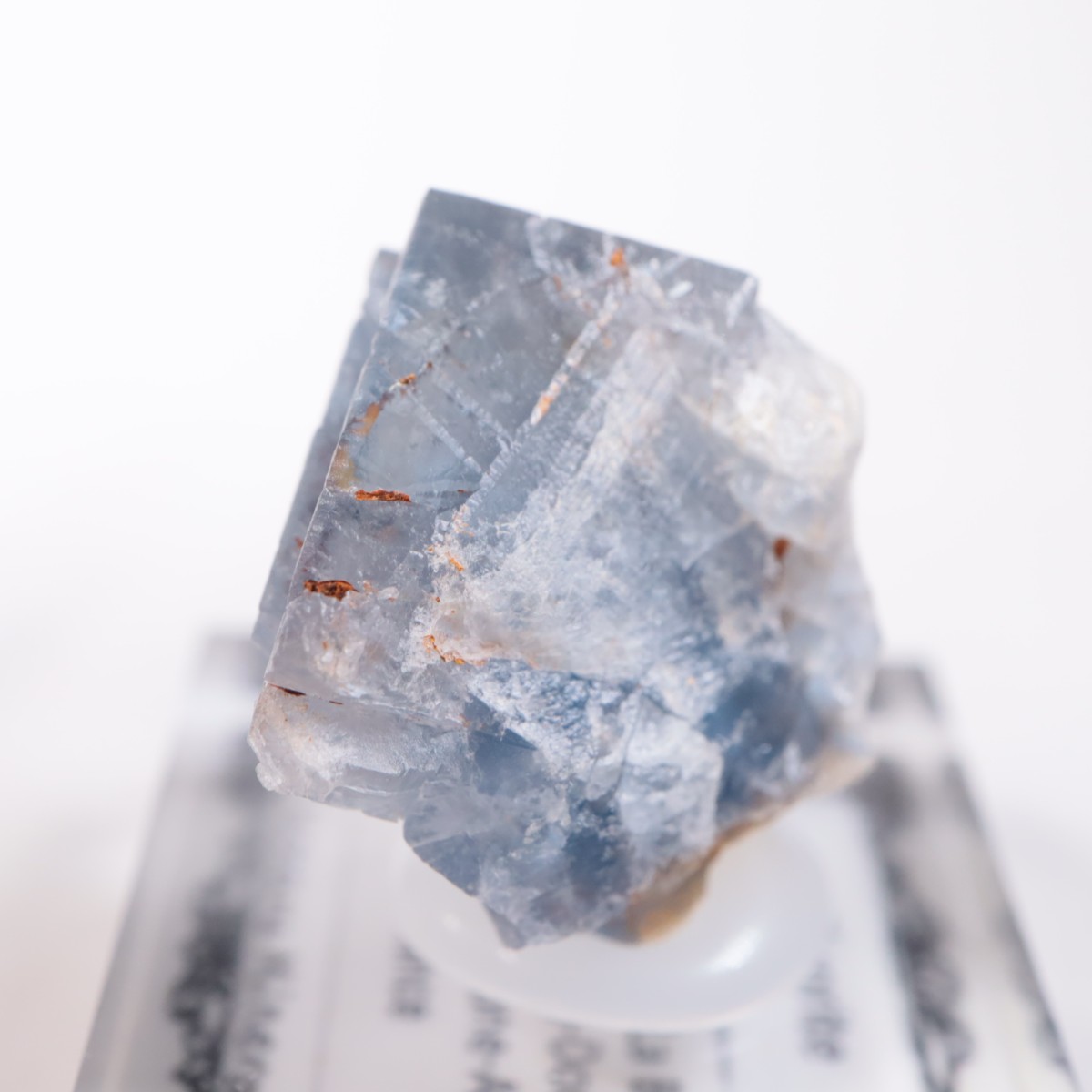 La Barre�ۻ���Outside Vein�˻� �ե����饤��