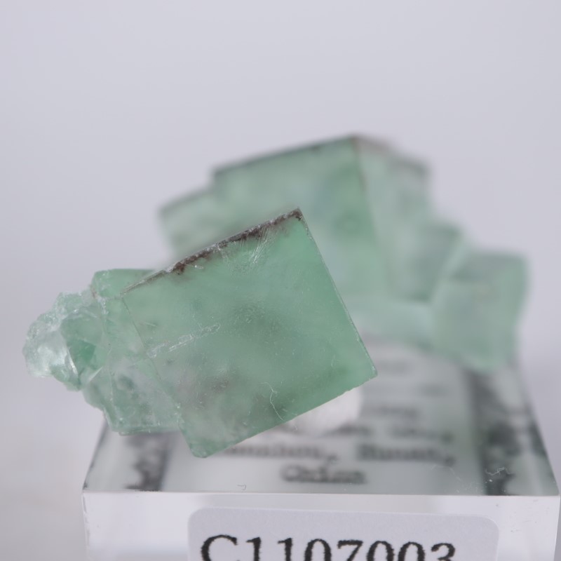 シャンファーリン産 蛍石 | 鉱物標本,ハ行,フローライト/蛍石,フロー