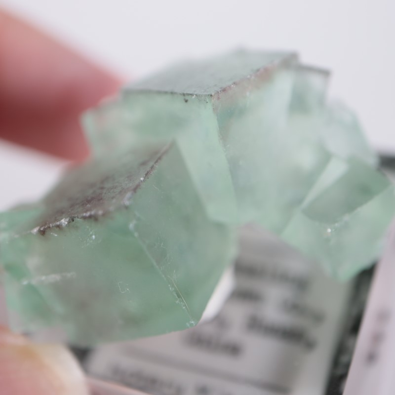 中国 シャンファーリン産 フローライト 蛍石 ピンク 鉱物標本 原石 シャンファーリン鉱山 蛍石 | 鉱物標本,ハ行,フローライト/蛍石