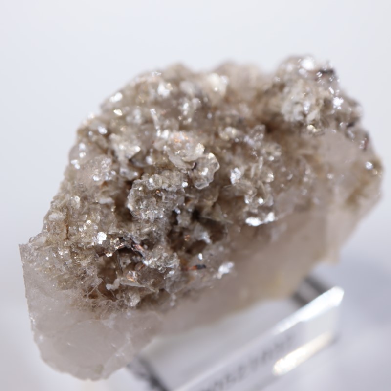 �����ꥢ�������졢�����