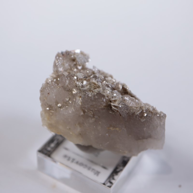 �����ꥢ�������졢�����