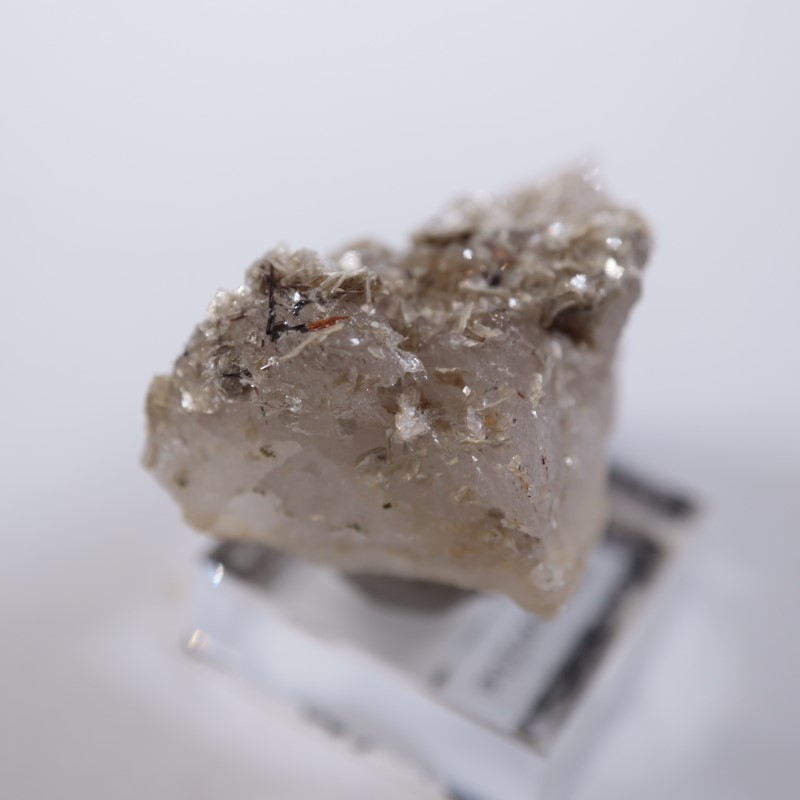 �����ꥢ�������졢�����