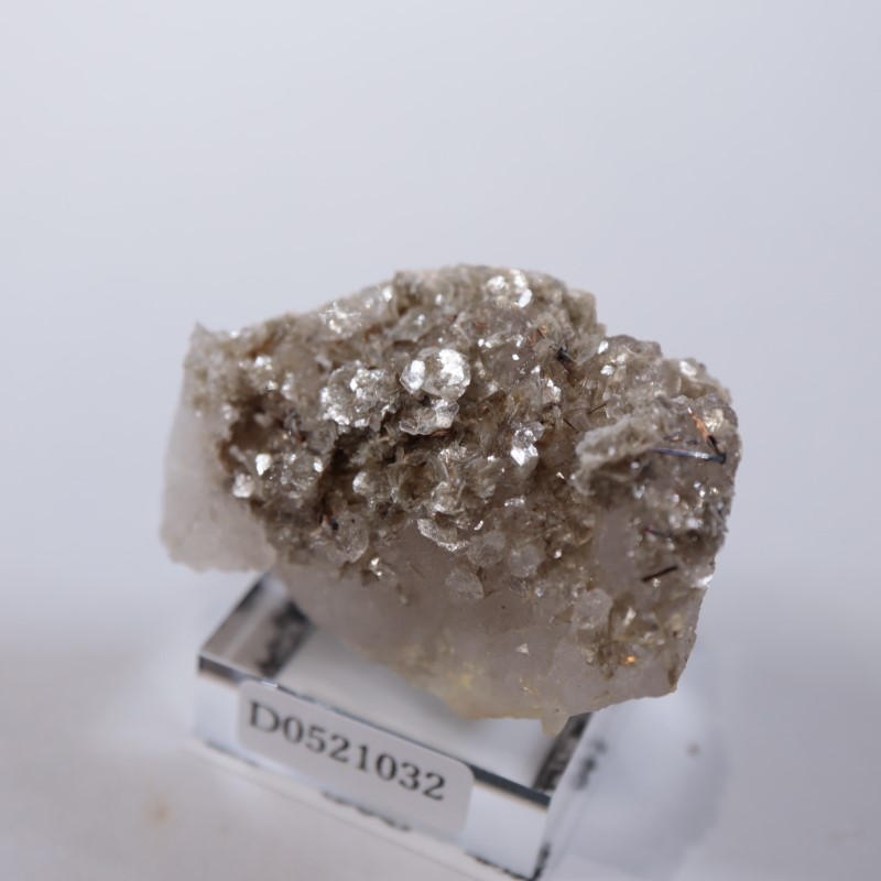 �����ꥢ�������졢�����