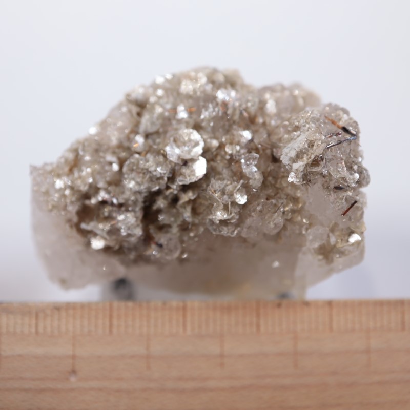 �����ꥢ�������졢�����