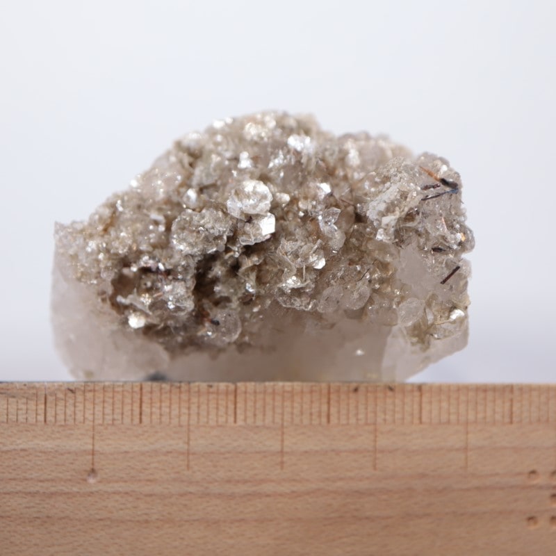 �����ꥢ�������졢�����