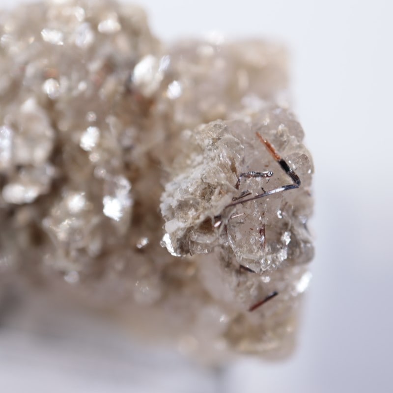 �����ꥢ�������졢�����