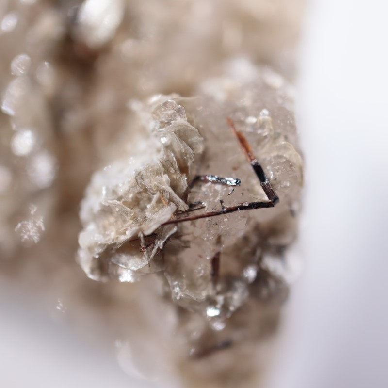 �����ꥢ�������졢�����