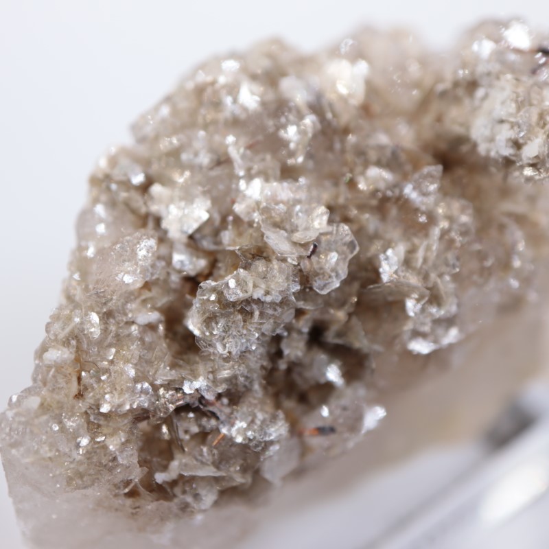 �����ꥢ�������졢�����