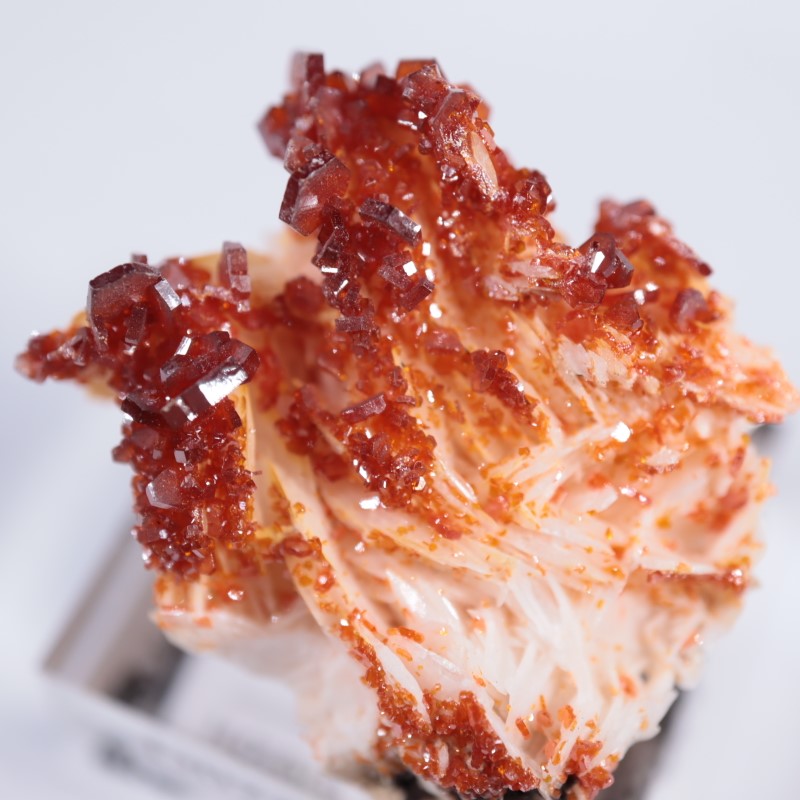 ����å������Хʥǥ��ʥ���