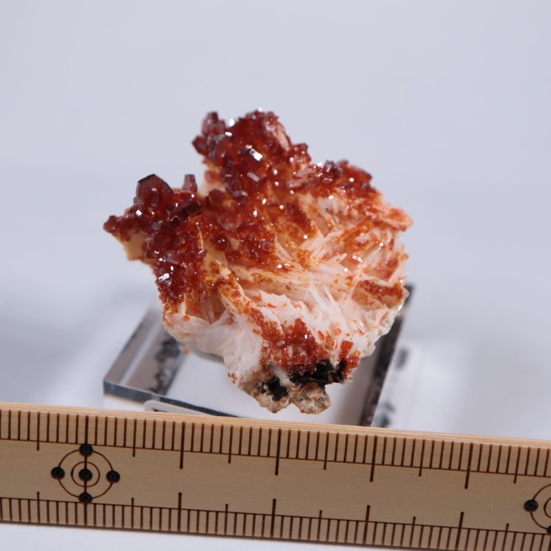 ����å������Хʥǥ��ʥ���