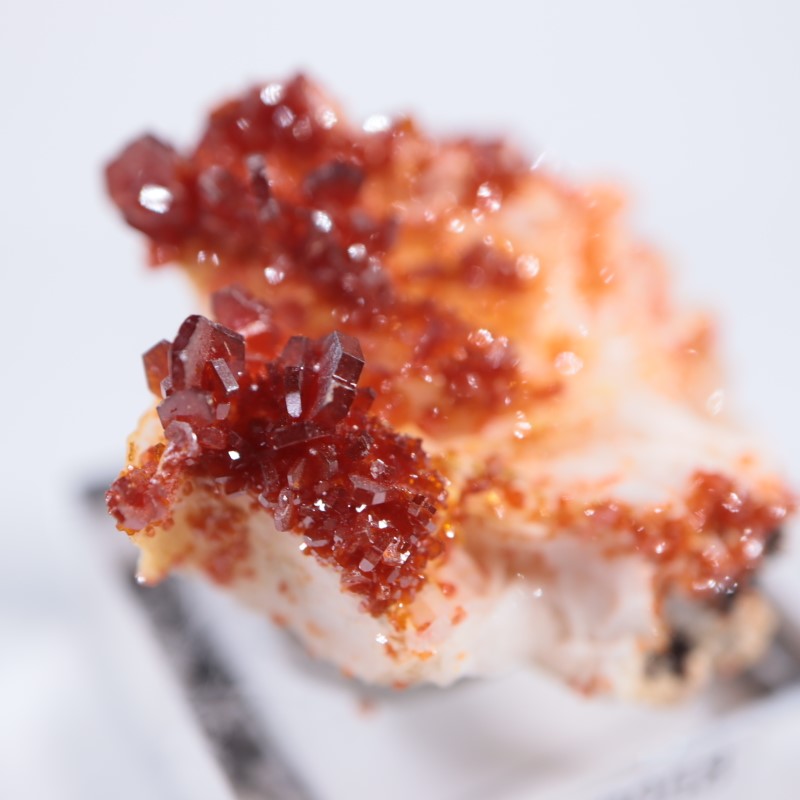 ����å������Хʥǥ��ʥ���