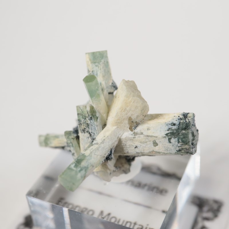 �����󥴹ۻ����٥��