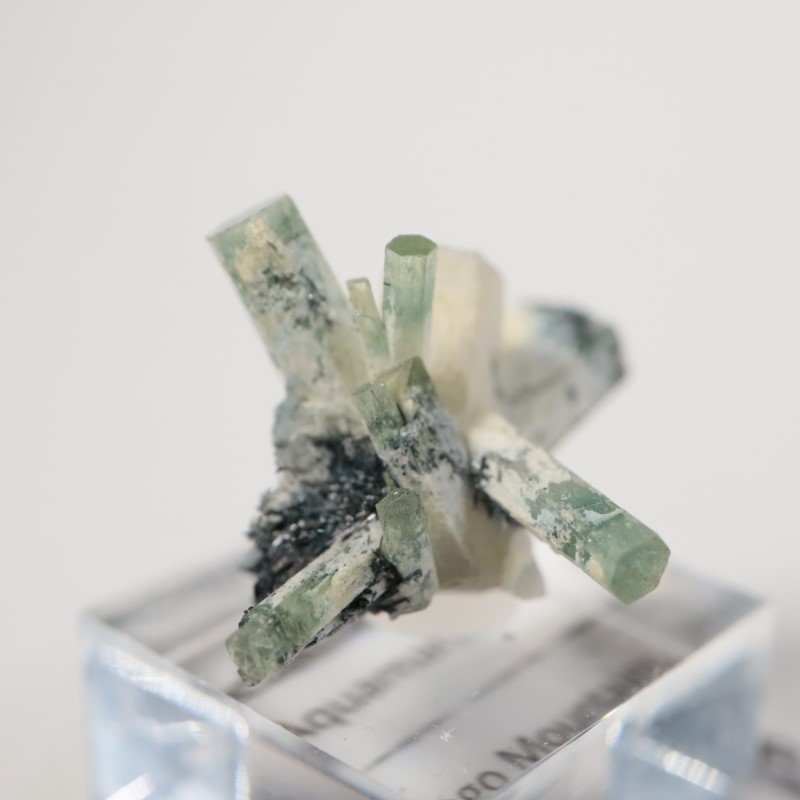 �����󥴹ۻ����٥��