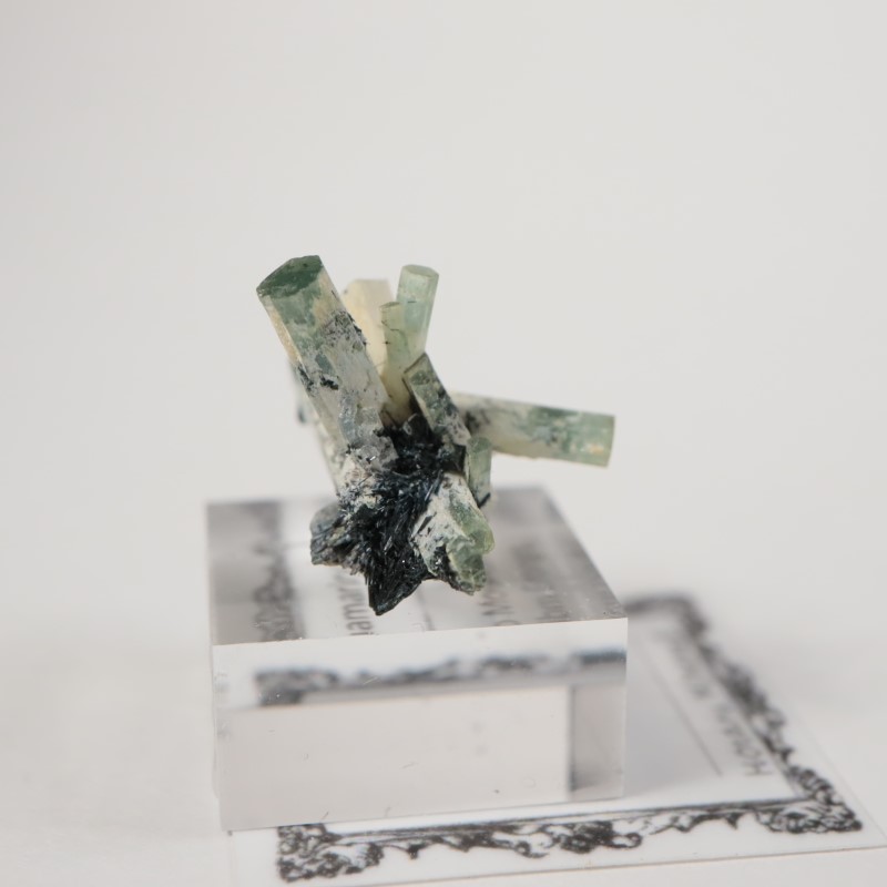 �����󥴹ۻ����٥��